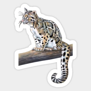 Clouded Leopard Sticker